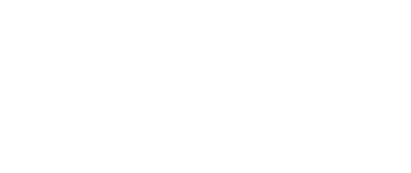 Motor Rotor